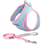 Pet Adventure Chest Harness And Leash Combo