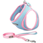 Pet Adventure Chest Harness And Leash Combo