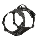 Explosive Adventure Dog Harness
