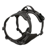 Explosive Adventure Dog Harness