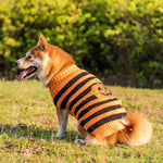 Halloween Dog Sweater Cosplay