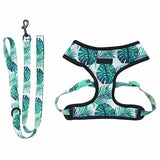Breathable Dog Harness And Leash