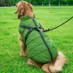 Winter Wonderland Pet Hooded Coat