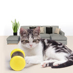 Magic Scratch Wheel For Cats