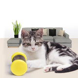 Magic Scratch Wheel For Cats