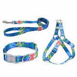 Adjustable Nylon Dog Collar Harness And Leash