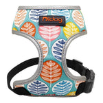 Comfortfit Nylon Dog And Cat Harness And Leash Set