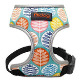 Comfortfit Nylon Dog And Cat Harness And Leash Set