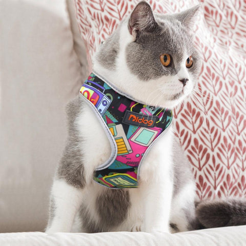 Comfortfit Nylon Dog And Cat Harness And Leash Set