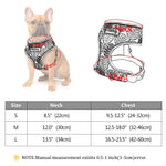 Comfortfit Nylon Dog And Cat Harness And Leash Set