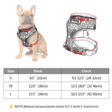 Comfortfit Nylon Dog And Cat Harness And Leash Set