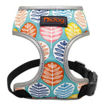 Comfortfit Nylon Dog And Cat Harness And Leash Set