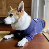 Cozy Knit Pet Sweater