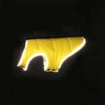 Reflective Winter Dog Jacket