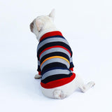 Cozypaws Winter Sweater Coat For Dogs And Cats