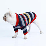 Cozypaws Winter Sweater Coat For Dogs And Cats