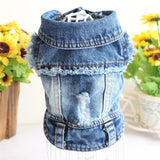 Stylish Denim Dog Jacket.