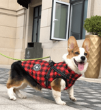 Winter Wonderland Pet Hooded Coat