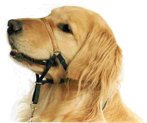 Comfort Trainer Head Halter Size 5