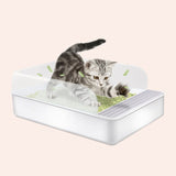 Spacious 20-Inch Open Cat Litter Box