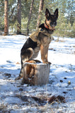 Military Dog Tactical Harness, Collar, and Leash (Complete Set)
