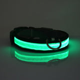 HALO Mini Illuminated Pet Collar