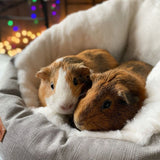 Small Pet Bed Sleeping Bag (Grey small)