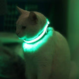 HALO Mini Illuminated Pet Collar