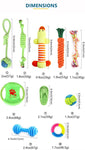 Fast Shipping 10 pcs Bite-Resistant Molar Dog Toys