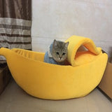 Banana Cat House