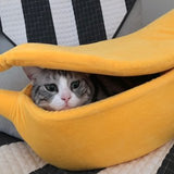 Banana Cat House