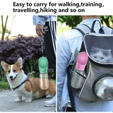 Outdoor Pet Water Bottle