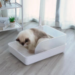 Spacious 20-Inch Open Cat Litter Box