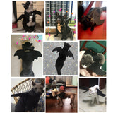 Halloween Pet Costumes Bat Wings