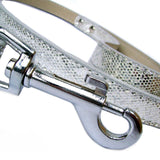 Disco Fever Dog Leash - Medium