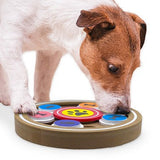 Brainiac Disc-O™  Treat Dispensing Pet Toy