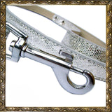 Disco Fever Dog Leash - Medium