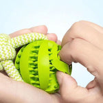 Bite Resistant Toy Ball Dogs