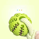 Interactive Hemp Rope Rubber Ball Dog Toy