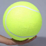 9.5 inch Big Tennis Ball Dog Toy