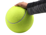 9.5 inch Big Tennis Ball Dog Toy