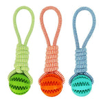Bite Resistant Toy Ball Dogs