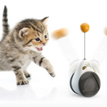 Cats Tumbler Swinging Ball Toy