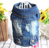 Stylish Denim Dog Jacket.