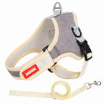 Luxury Suede Dog Harness Set