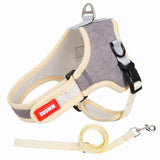 Luxury Suede Dog Harness Set