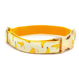 Fruitful Adventures Dog Leash And Collar