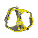 Explosive Adventure Dog Harness