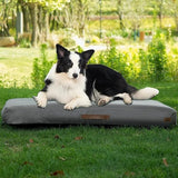 Indoor and outdoor inflatable dog bed