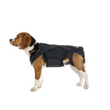 Ultimate Supportive Back Brace For Dogs